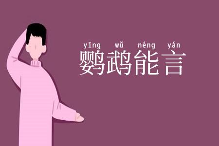 鹦鹉能言