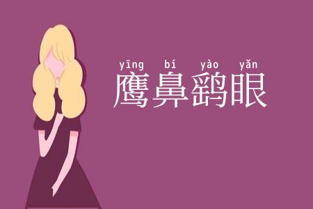 鹰鼻鹞眼