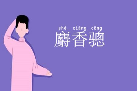 麝香骢