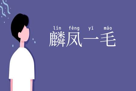麟凤一毛