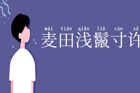 麦田浅鬣寸许
