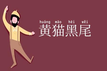 黄猫黑尾