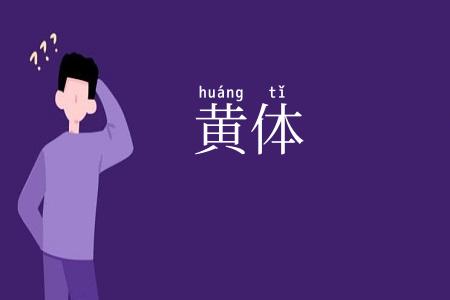 黄体