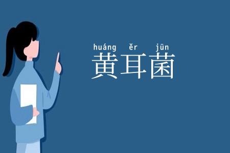 黄耳菌