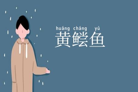 黄鲿鱼