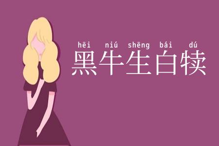 黑牛生白犊